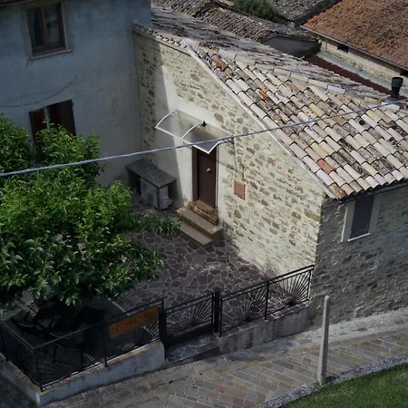 Giadame * Limigiano